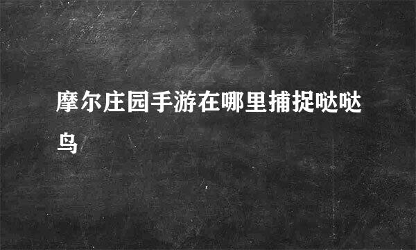 摩尔庄园手游在哪里捕捉哒哒鸟