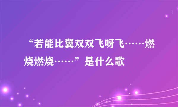“若能比翼双双飞呀飞……燃烧燃烧……”是什么歌