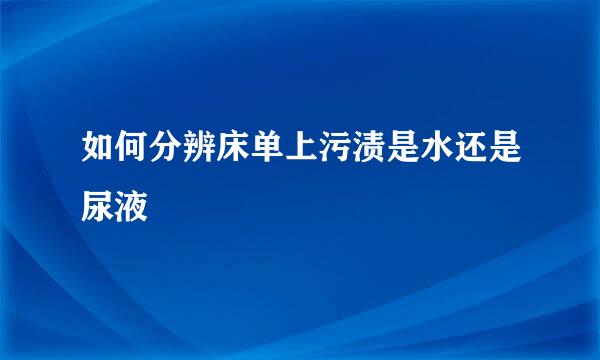 如何分辨床单上污渍是水还是尿液