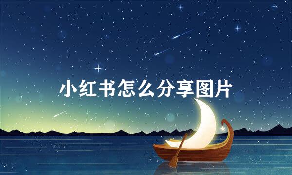 小红书怎么分享图片