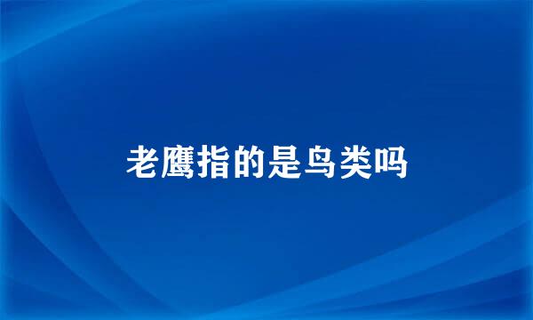 老鹰指的是鸟类吗