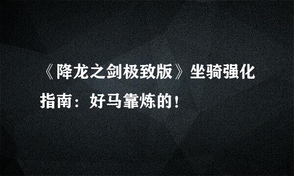 《降龙之剑极致版》坐骑强化指南：好马靠炼的！