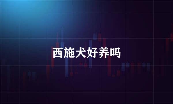 西施犬好养吗
