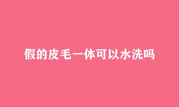 假的皮毛一体可以水洗吗