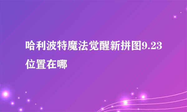 哈利波特魔法觉醒新拼图9.23位置在哪