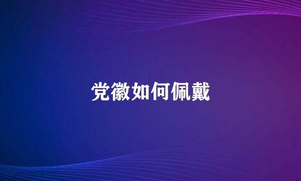 党徽如何佩戴