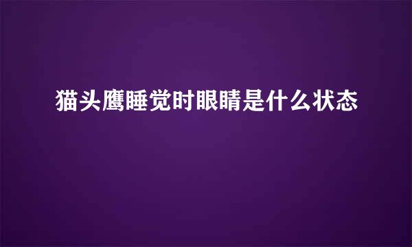 猫头鹰睡觉时眼睛是什么状态