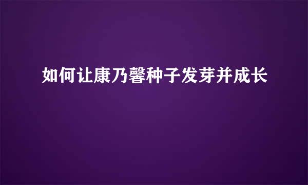 如何让康乃馨种子发芽并成长