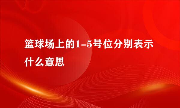 篮球场上的1-5号位分别表示什么意思