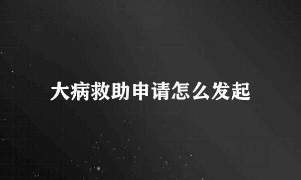大病救助申请怎么发起