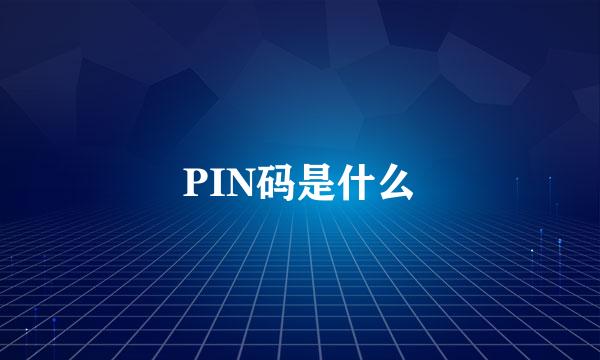 PIN码是什么