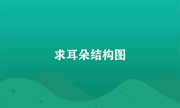 求耳朵结构图