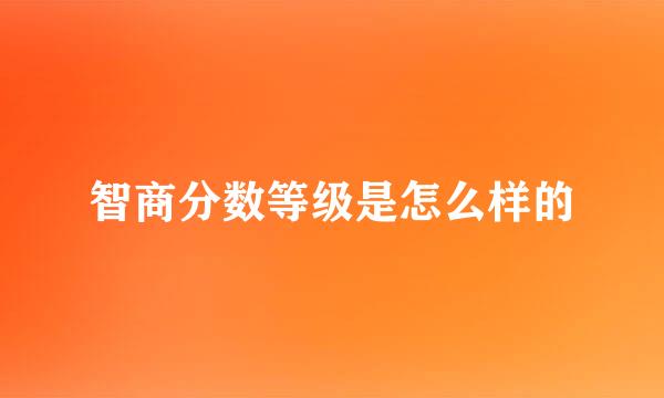 智商分数等级是怎么样的
