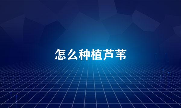 怎么种植芦苇