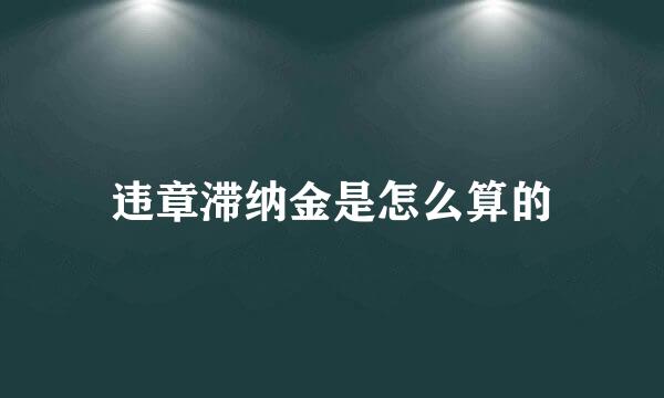 违章滞纳金是怎么算的