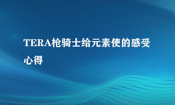 TERA枪骑士给元素使的感受心得
