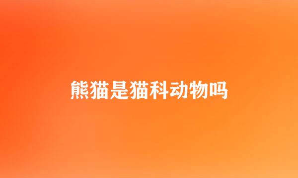 熊猫是猫科动物吗