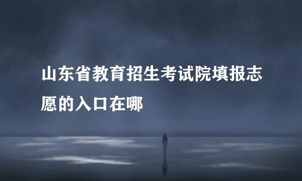 山东省教育招生考试院填报志愿的入口在哪