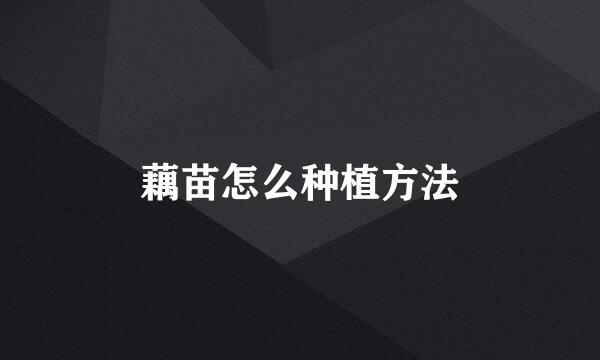 藕苗怎么种植方法