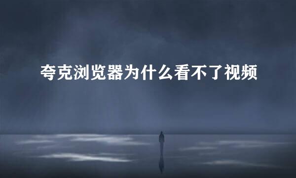 夸克浏览器为什么看不了视频