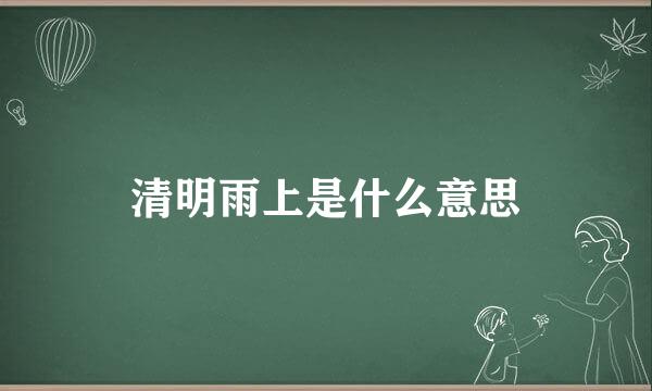 清明雨上是什么意思