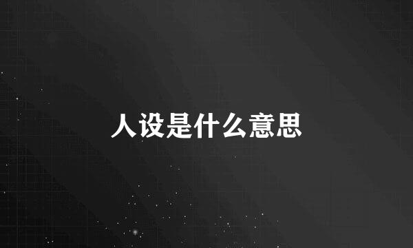 人设是什么意思