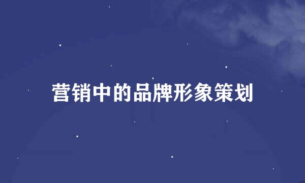 营销中的品牌形象策划