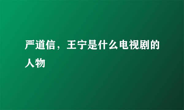 严道信，王宁是什么电视剧的人物