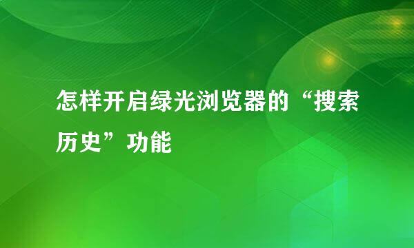怎样开启绿光浏览器的“搜索历史”功能