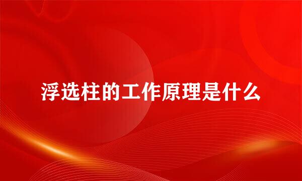 浮选柱的工作原理是什么