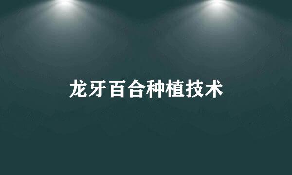 龙牙百合种植技术