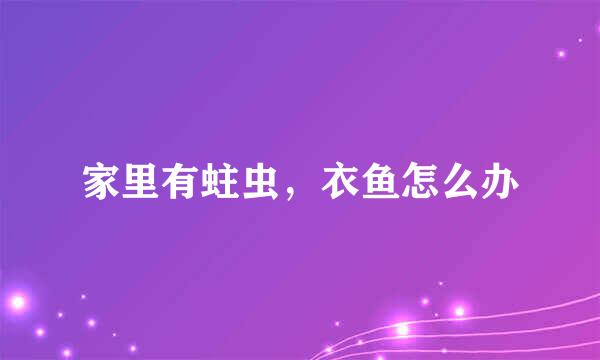 家里有蛀虫,衣鱼怎么办