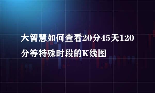 大智慧如何查看20分45天120分等特殊时段的K线图