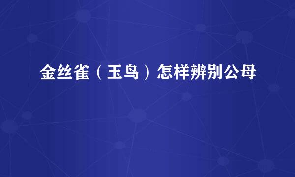 金丝雀（玉鸟）怎样辨别公母