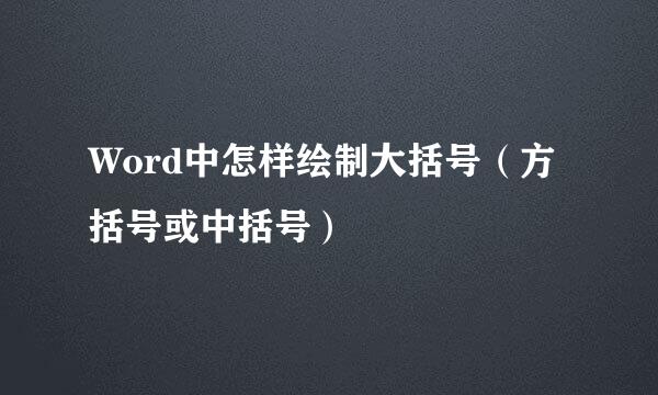 Word中怎样绘制大括号（方括号或中括号）