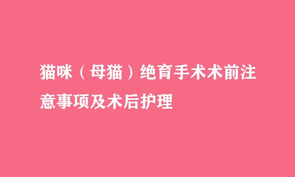 猫咪(母猫)绝育手术术前注意事项及术后护理