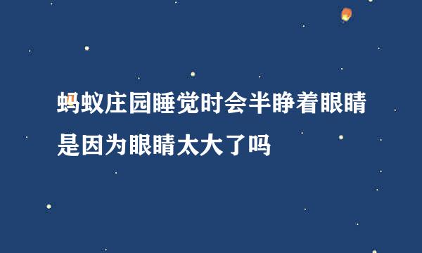 蚂蚁庄园睡觉时会半睁着眼睛是因为眼睛太大了吗