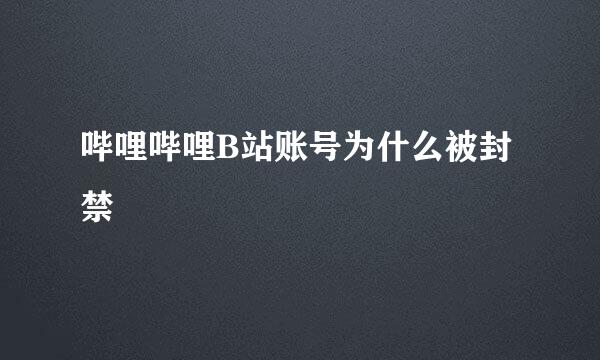 哔哩哔哩B站账号为什么被封禁