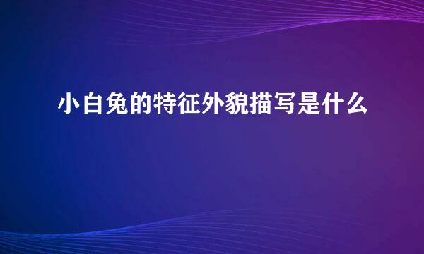 小白兔的特征外貌描写是什么