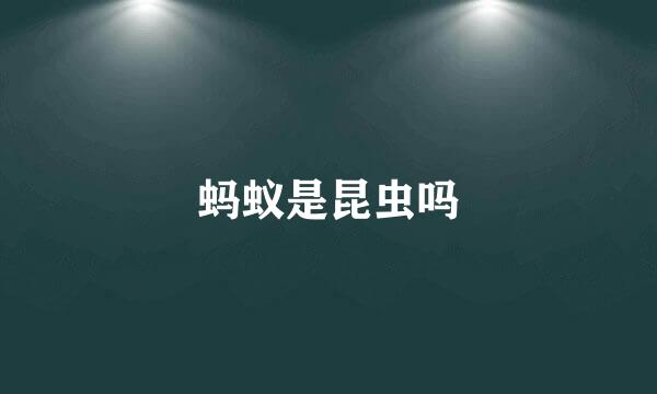 蚂蚁是昆虫吗