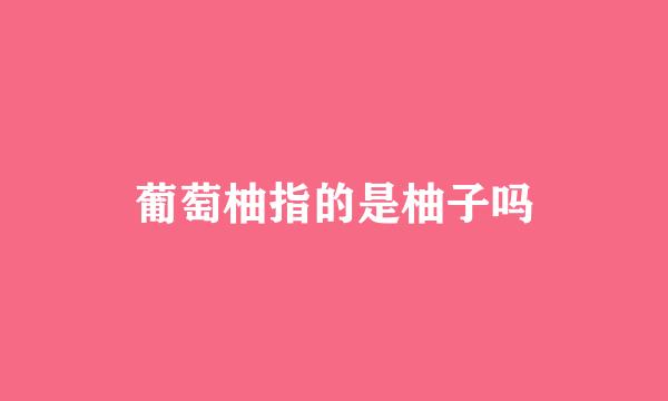 葡萄柚指的是柚子吗