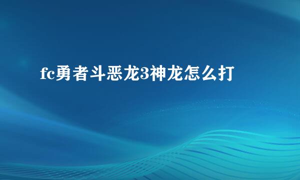 fc勇者斗恶龙3神龙怎么打