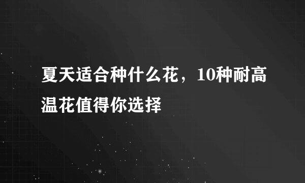 夏天适合种什么花，10种耐高温花值得你选择