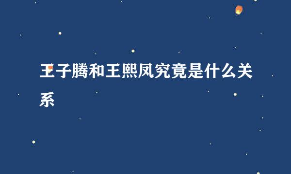 王子腾和王熙凤究竟是什么关系