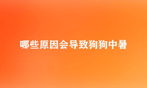 哪些原因会导致狗狗中暑