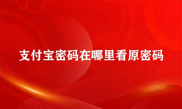 支付宝密码在哪里看原密码