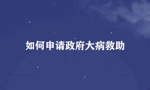 如何申请政府大病救助