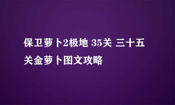 保卫萝卜2极地 35关 三十五关金萝卜图文攻略