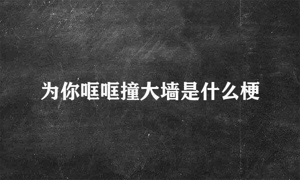 为你哐哐撞大墙是什么梗