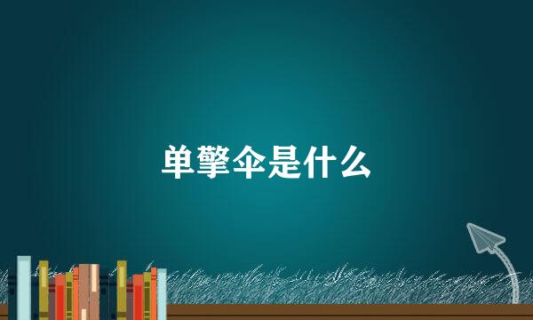 单擎伞是什么